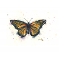 Butterflies and Insects